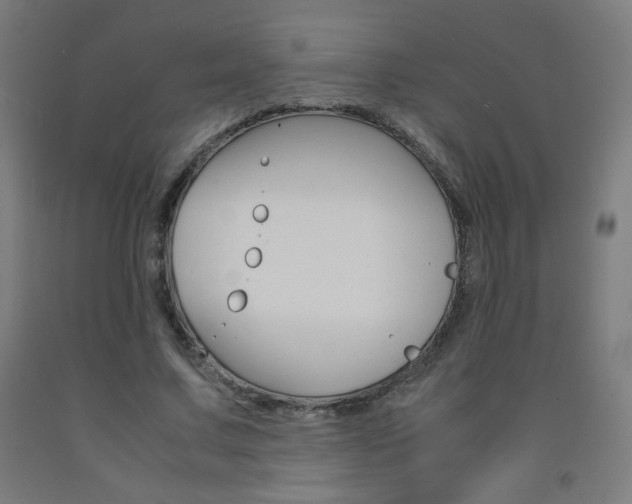 X0000093230683200709261510