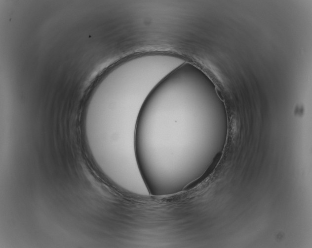 X0000093230684200709261510