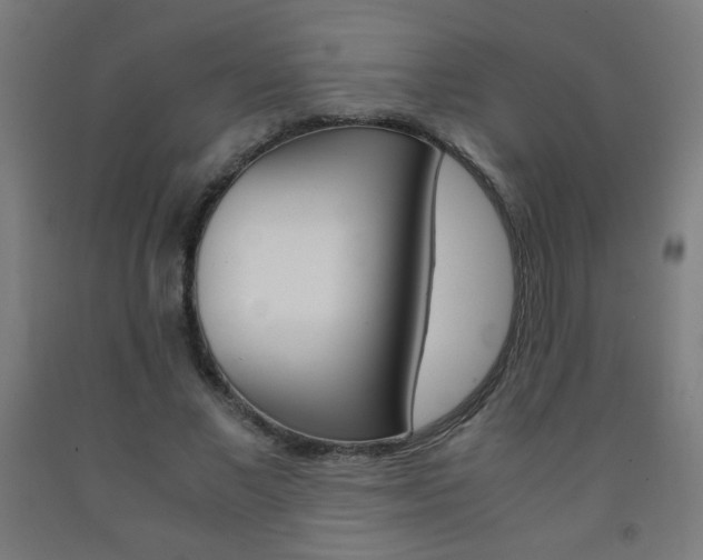 X0000093230685200709261510