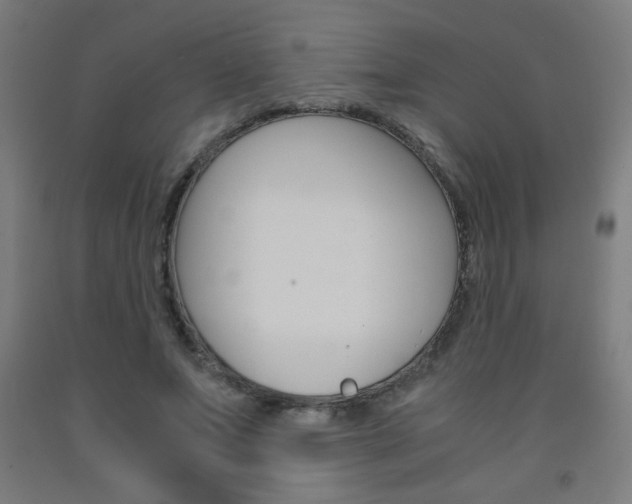 X0000093230687200709261510
