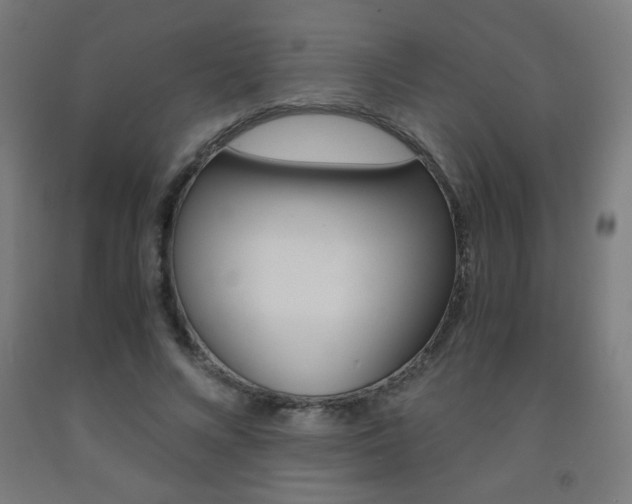 X0000093230688200709261510