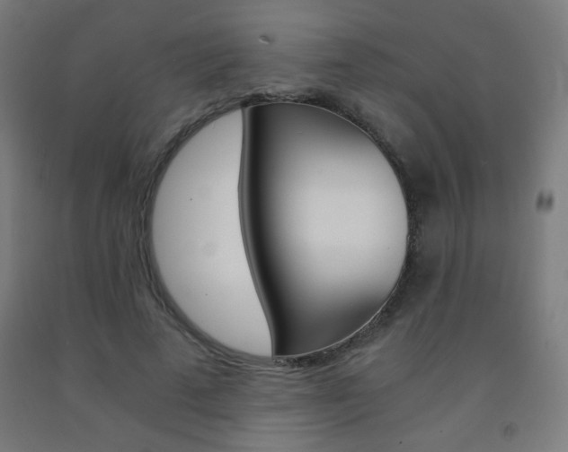 X0000093230689200709261510