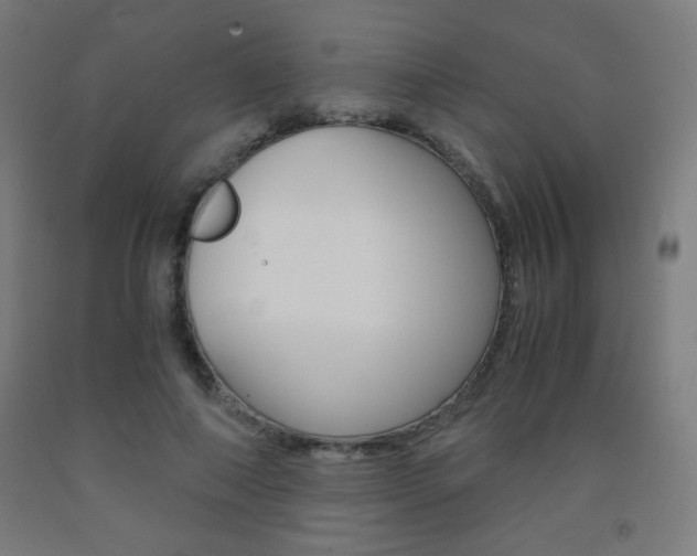 X0000093230690200709261509
