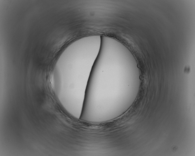 X0000093230691200709261509