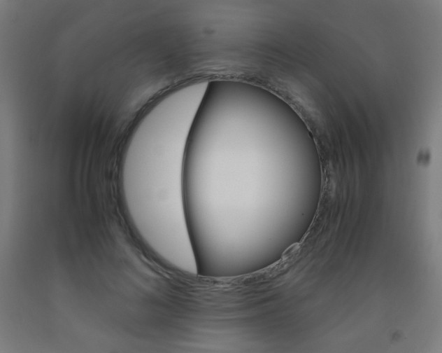 X0000093230692200709261509