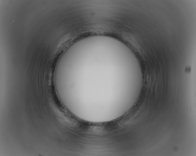 X0000093230694200709261509