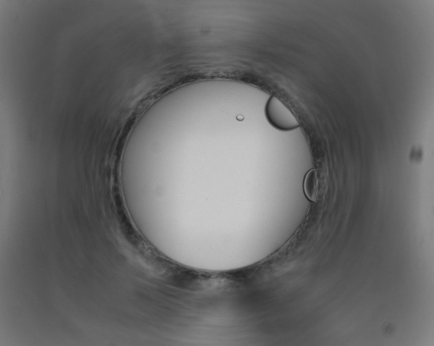 X0000093230695200709261509