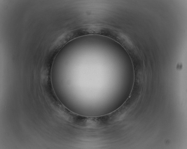 X0000093230697200709261509