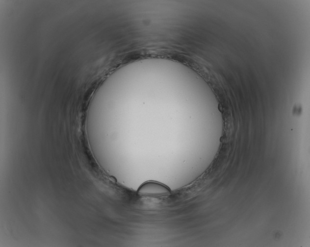 X0000093230703200709261509