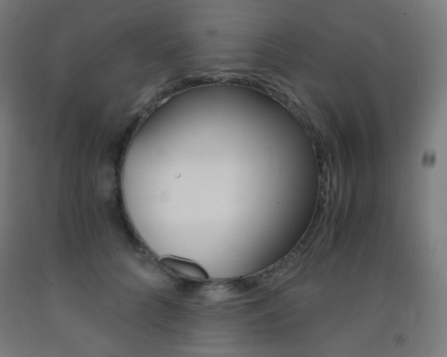 X0000093230704200709261509