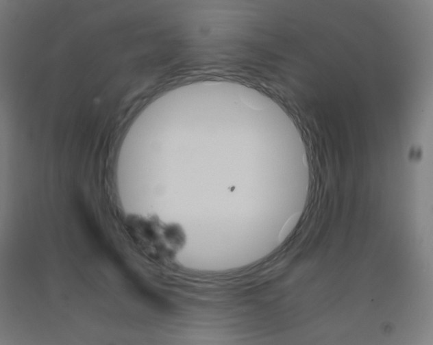 X0000093230705200709261509