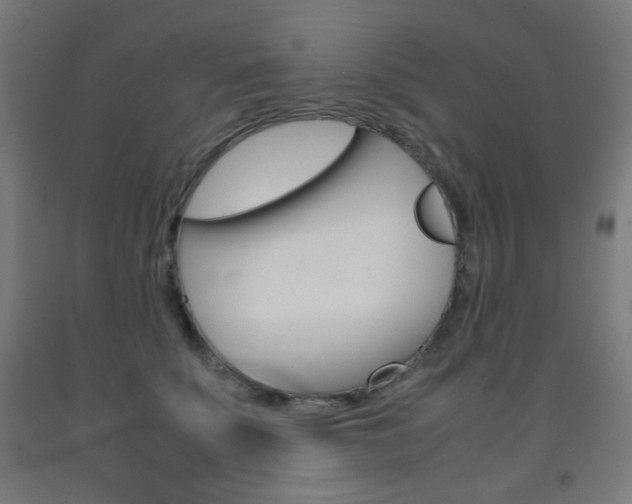 X0000093230707200709261509