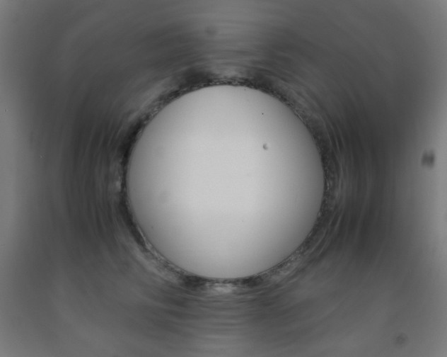 X0000093230710200709261509