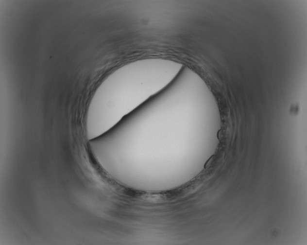 X0000093230711200709261509