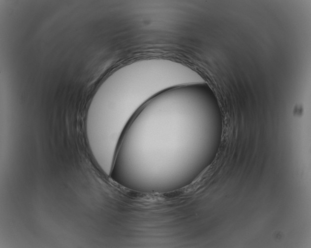 X0000093230712200709261509