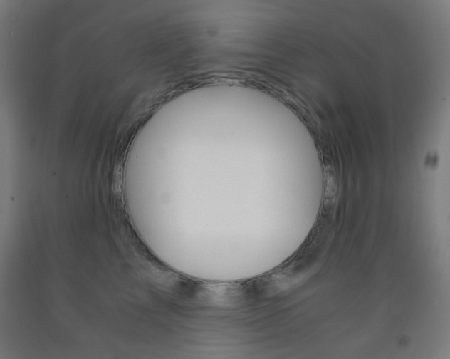X0000093230713200709261509