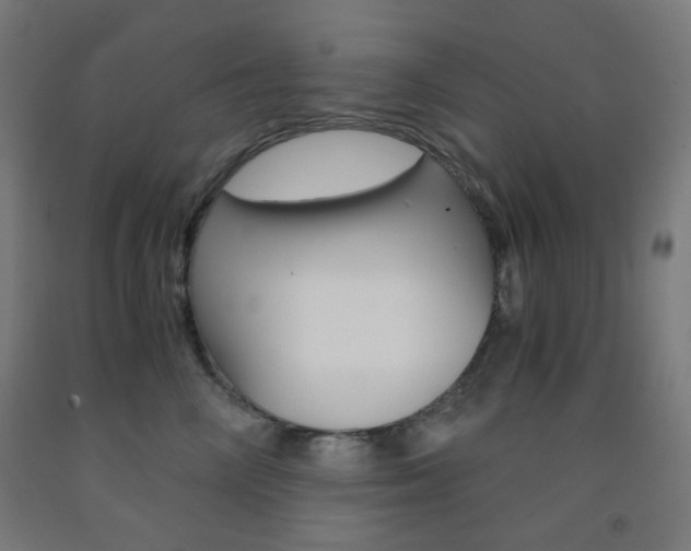 X0000093230714200709261509