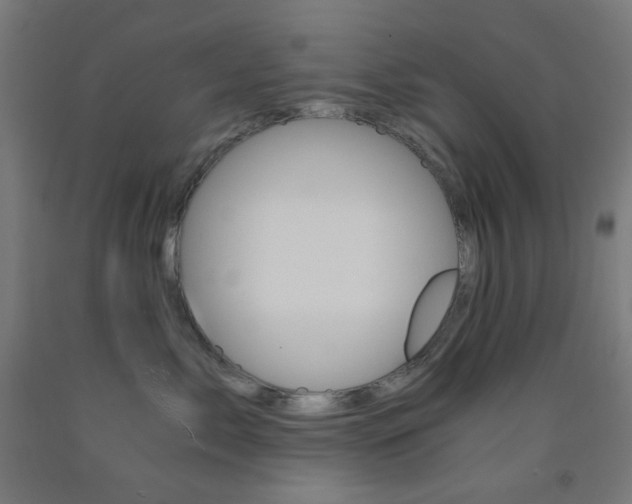 X0000093230717200709261509