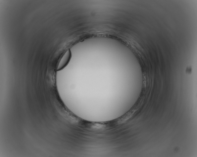 X0000093230718200709261509