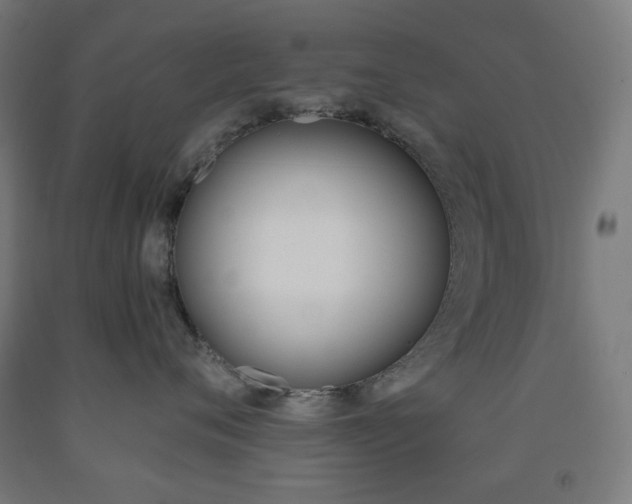 X0000093230720200709261509