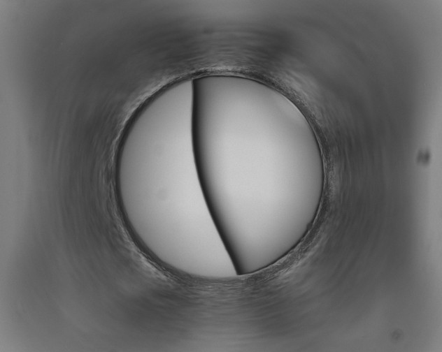 X0000093230721200709261508