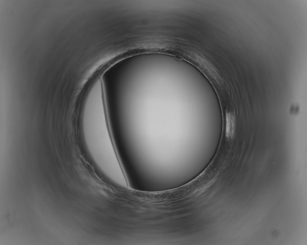 X0000093230723200709261508