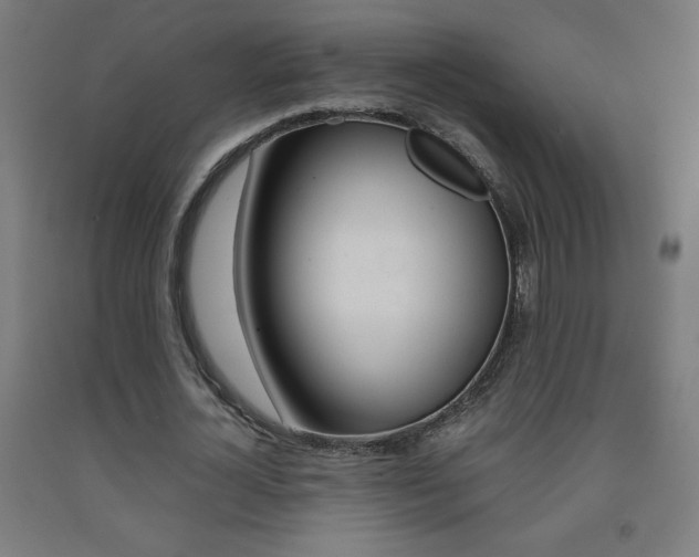 X0000093230724200709261508