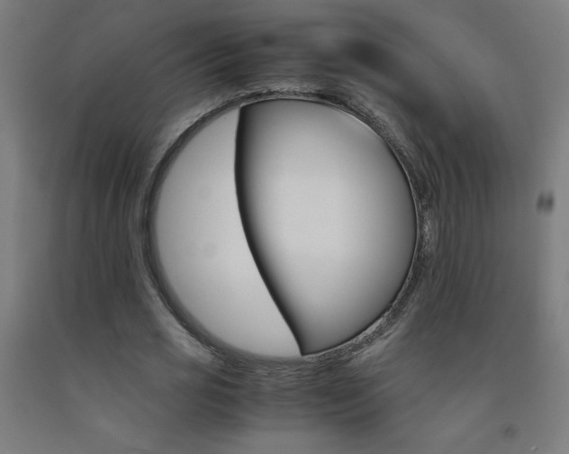 X0000093230725200709261508
