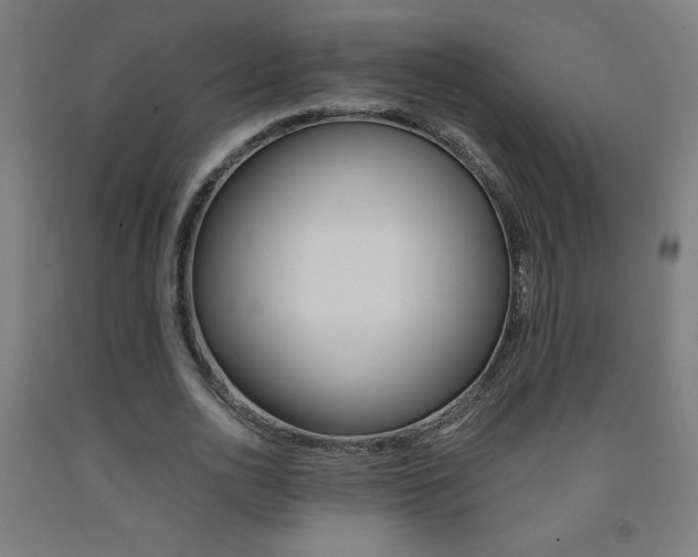 X0000093230726200709261508