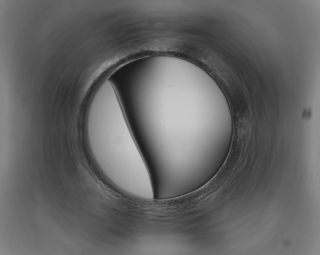 X0000093230727200709261508