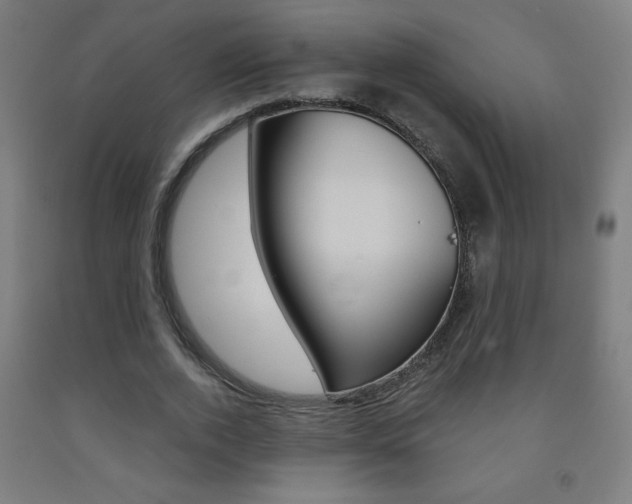 X0000093230728200709261508