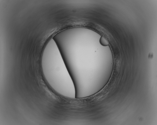X0000093230729200709261508