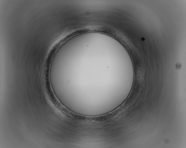 X0000093230730200709261508