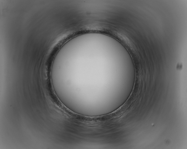 X0000093230731200709261508