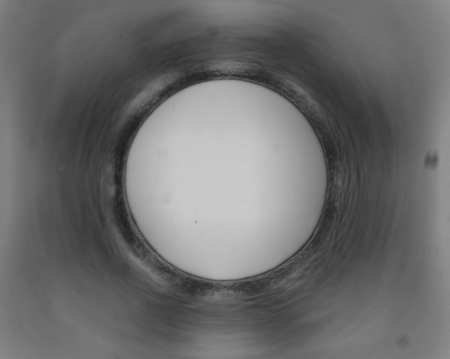 X0000093230734200709261508