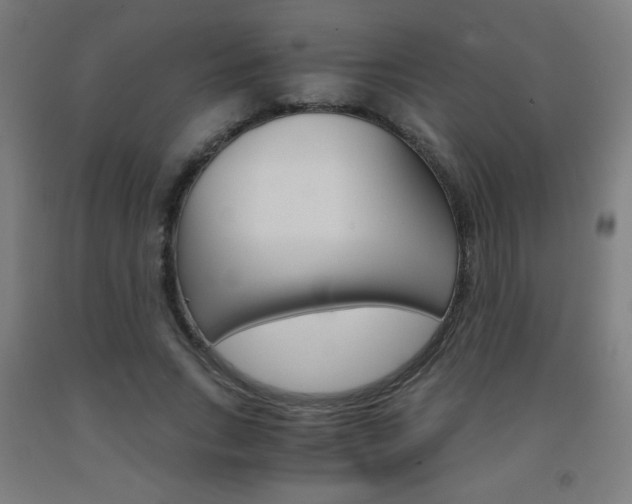 X0000093230735200709261508