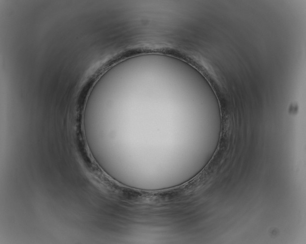 X0000093230736200709261508