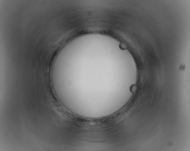 X0000093230737200709261508