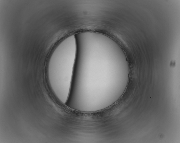 X0000093230738200709261508