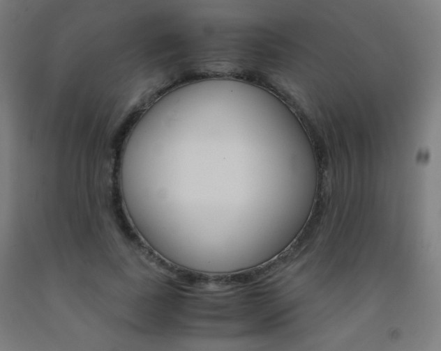X0000093230739200709261508