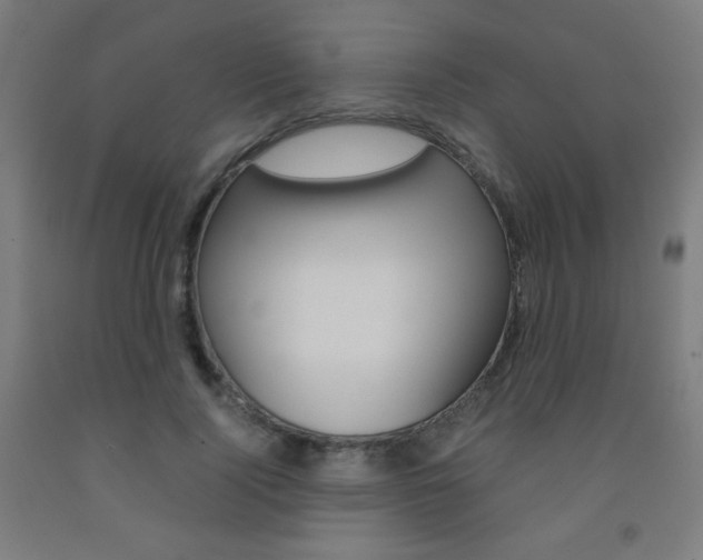 X0000093230740200709261508