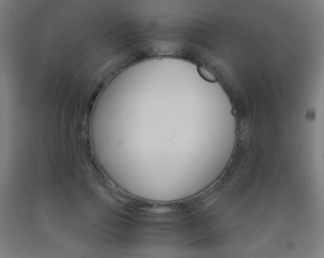 X0000093230741200709261508