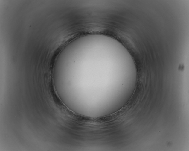 X0000093230743200709261508