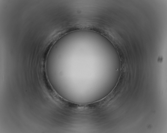 X0000093230744200709261508