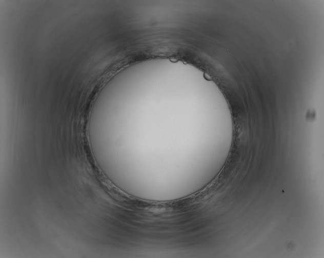 X0000093230745200709261508