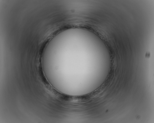 X0000093230746200709261508