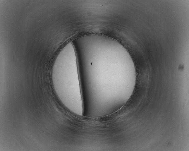 X0000093230747200709261508