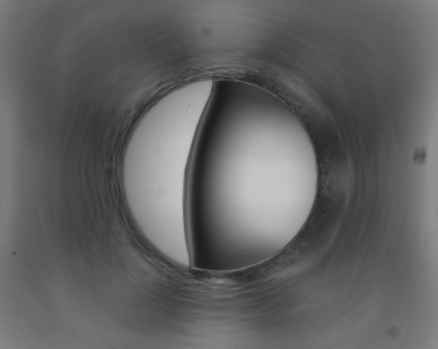 X0000093230748200709261509