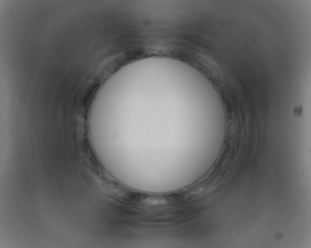 X0000093230749200709261509