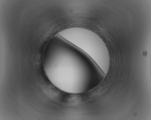X0000093230750200709261509